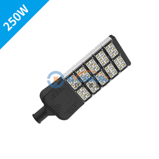 ON-D211-250W
